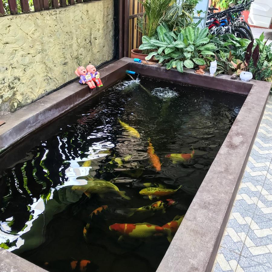 Vanvisa Guesthouse Luang Prabang Esterno foto